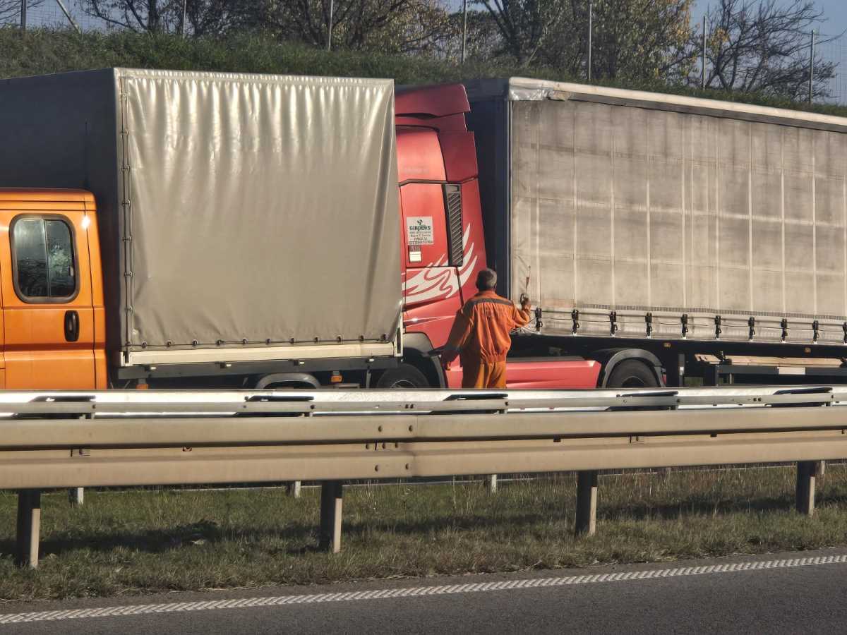 WhatsApp Image 2024-11-05 at 14.24.27_07cd5a70.jpg