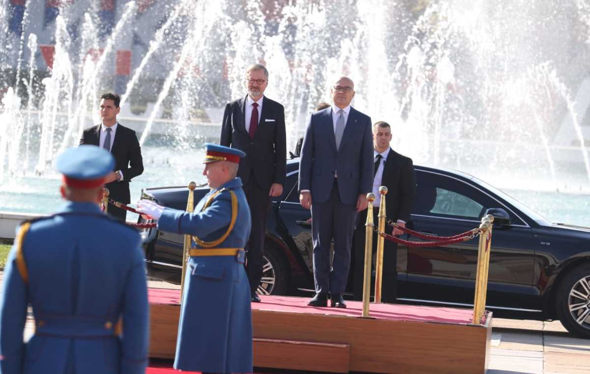 Milos Vučević (3).jpeg