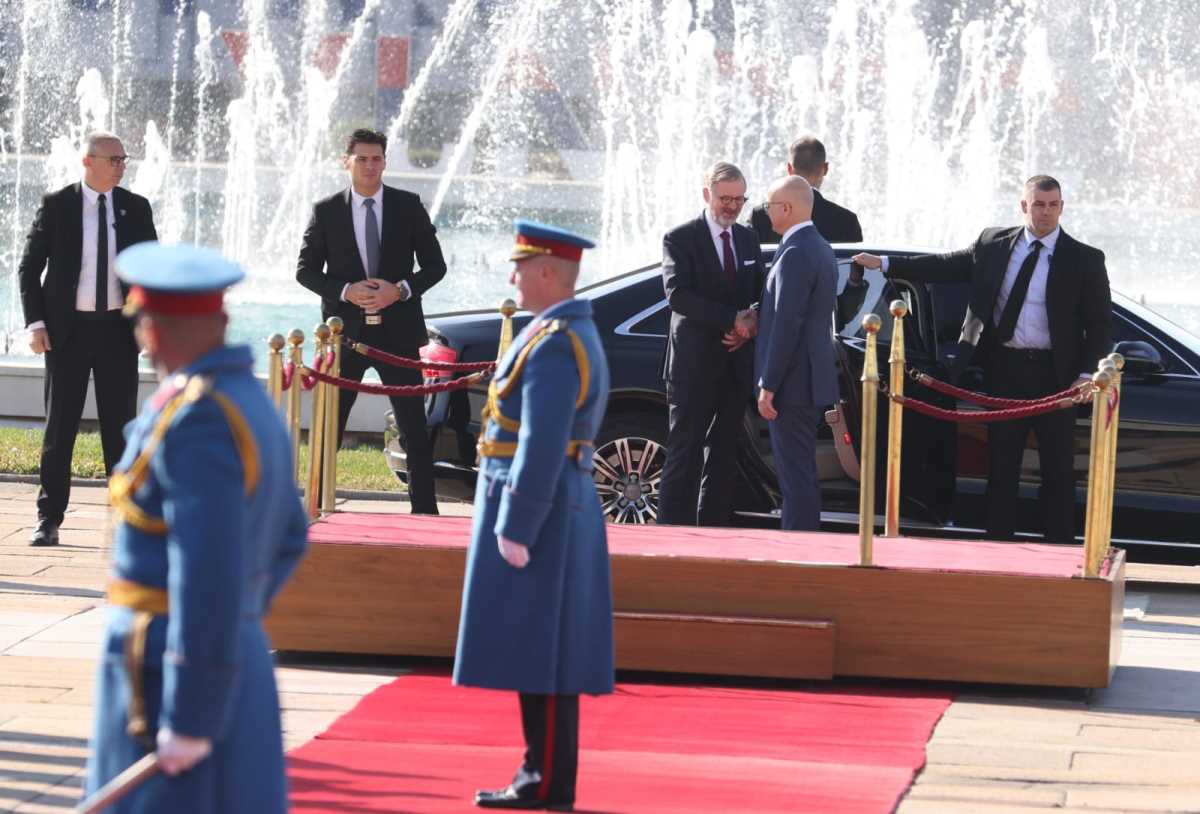 Milos Vučević (1).jpeg