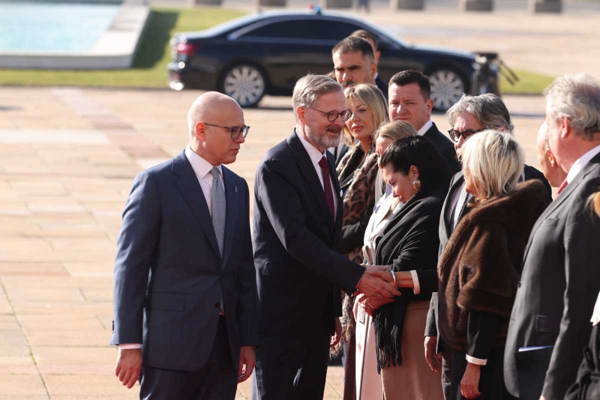 Milos Vucevic (2).jpeg