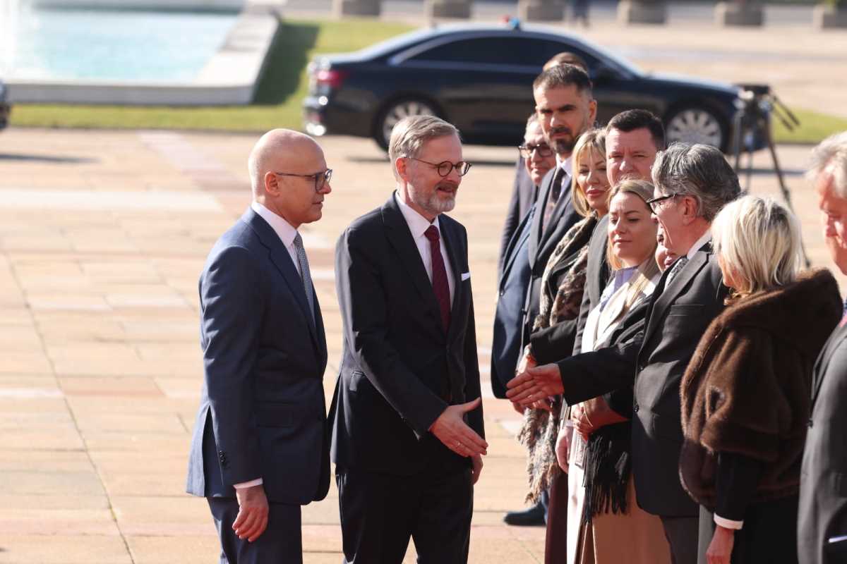 Milos Vucevic (3).jpeg