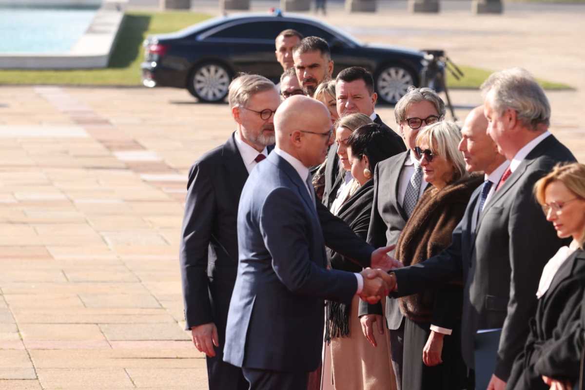 Miloš Vučević (2).jpeg