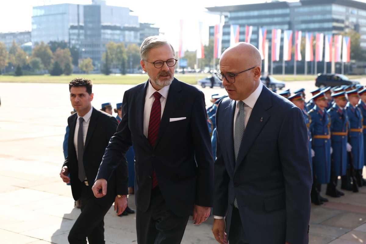 Miloš Vučević (3).jpeg