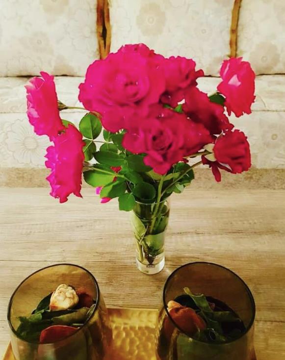 Screenshot 2024-11-13 112241.png