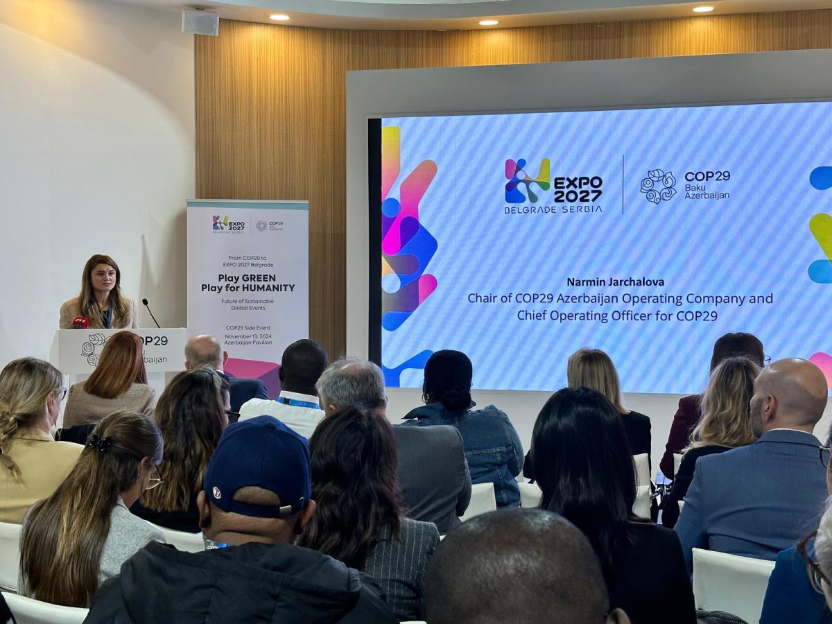 WhatsApp Image 2024-11-13 at 2.31.31 PM.jpeg