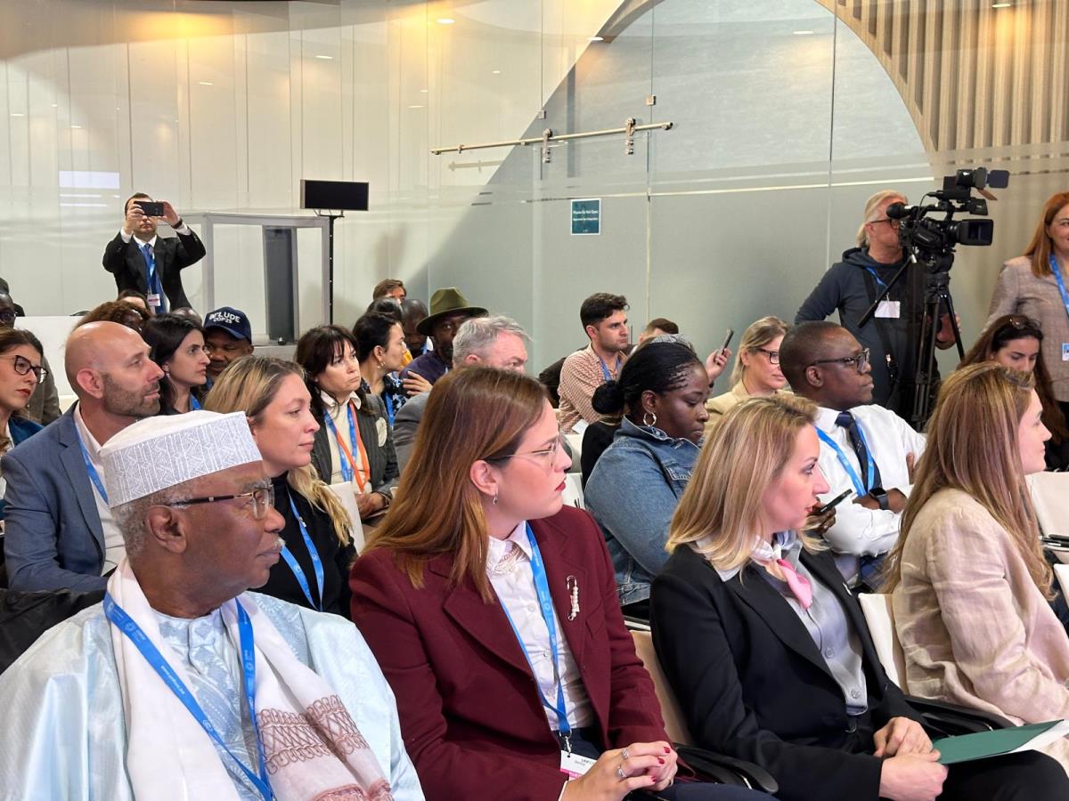 WhatsApp Image 2024-11-13 at 2.31.27 PM.jpeg