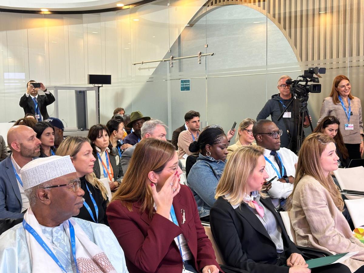 WhatsApp Image 2024-11-13 at 2.31.25 PM (2).jpeg