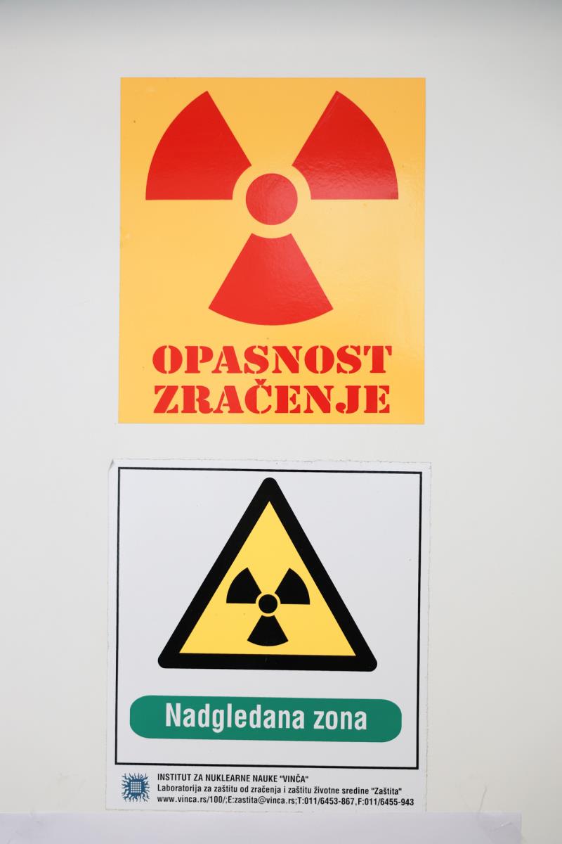 0601nemanja nikolic (11).jpg