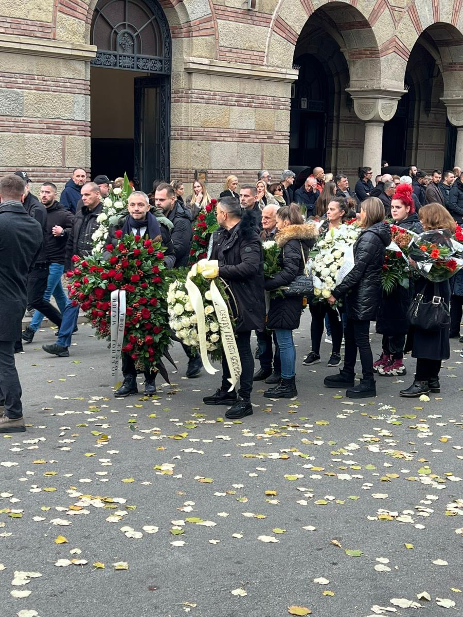 WhatsApp Image 2024-11-19 at 14.38.12_1b846388.jpg