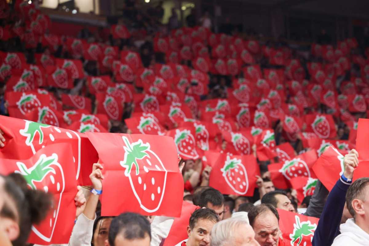 WhatsApp Image 2024-11-21 at 8.09.41 PM.jpeg