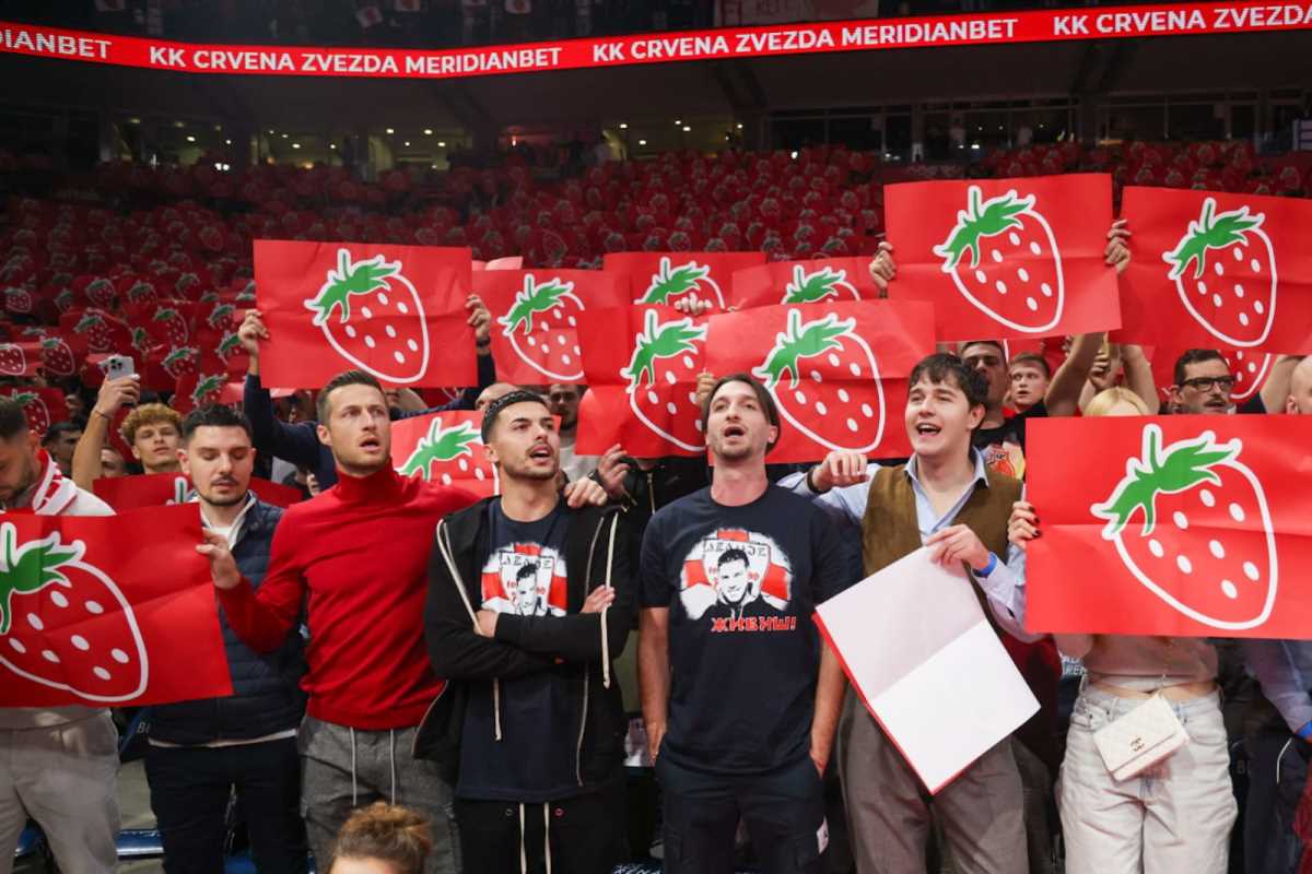 WhatsApp Image 2024-11-21 at 8.09.44 PM.jpeg