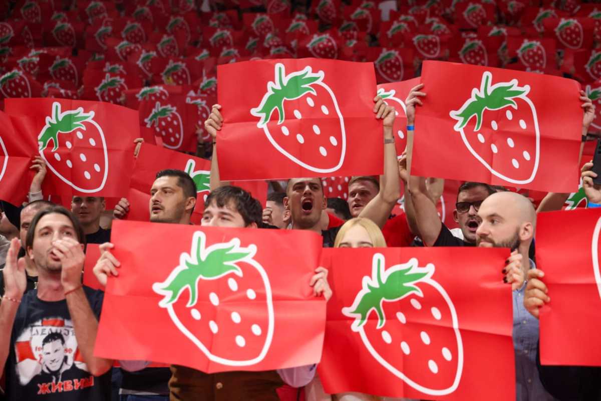 WhatsApp Image 2024-11-21 at 8.09.46 PM.jpeg