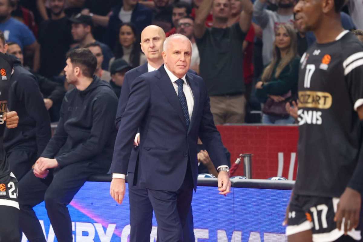 WhatsApp Image 2024-11-21 at 8.06.57 PM (2).jpeg