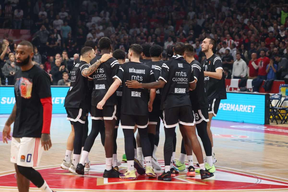 WhatsApp Image 2024-11-21 at 8.06.57 PM.jpeg