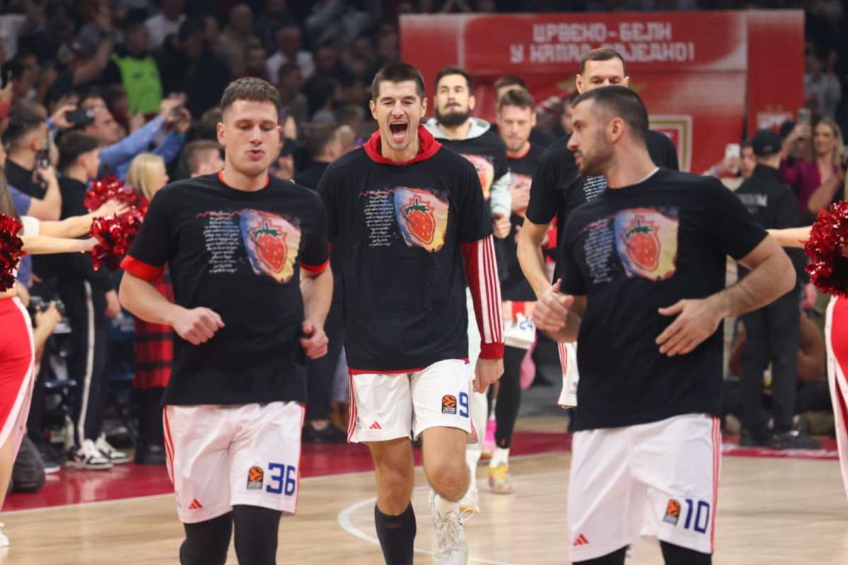 WhatsApp Image 2024-11-21 at 8.06.58 PM (1).jpeg