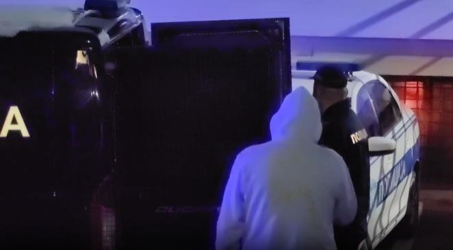 Evo šta se dešava sa izručenjem Alik