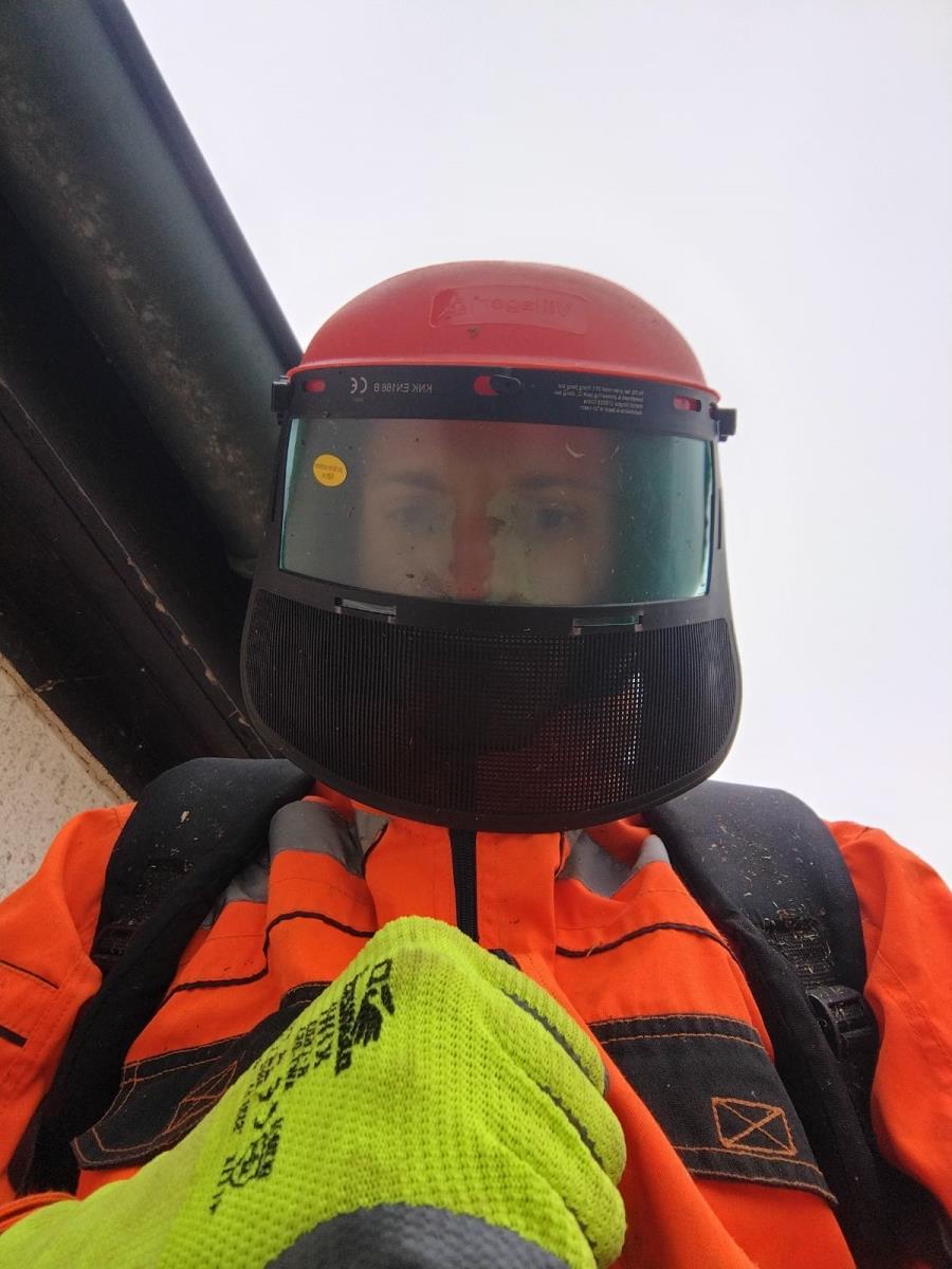 LOZNICA - Opremljen.jpg