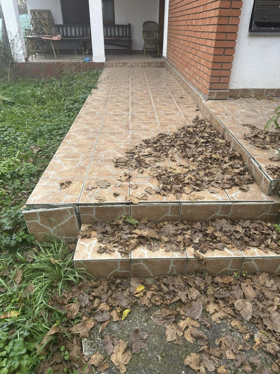 2002 sonja savic_1.jpg