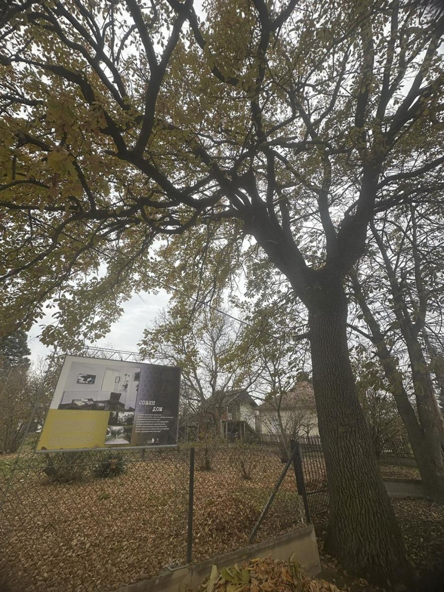 2002 sonja savic_2.jpg