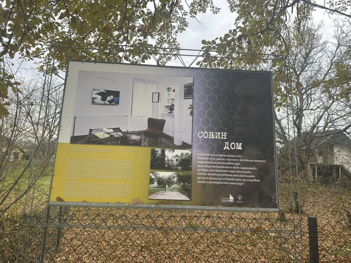 2002 sonja savic_3.jpg