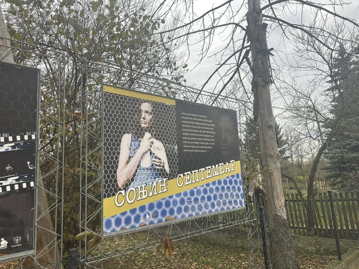 2002 sonja savic_4.jpg