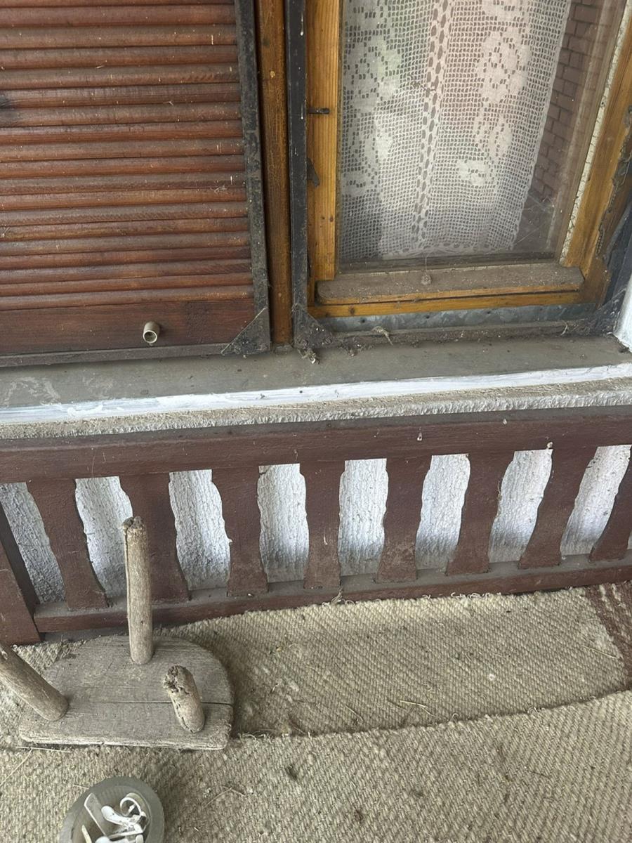 2002 sonja savic_9.jpg