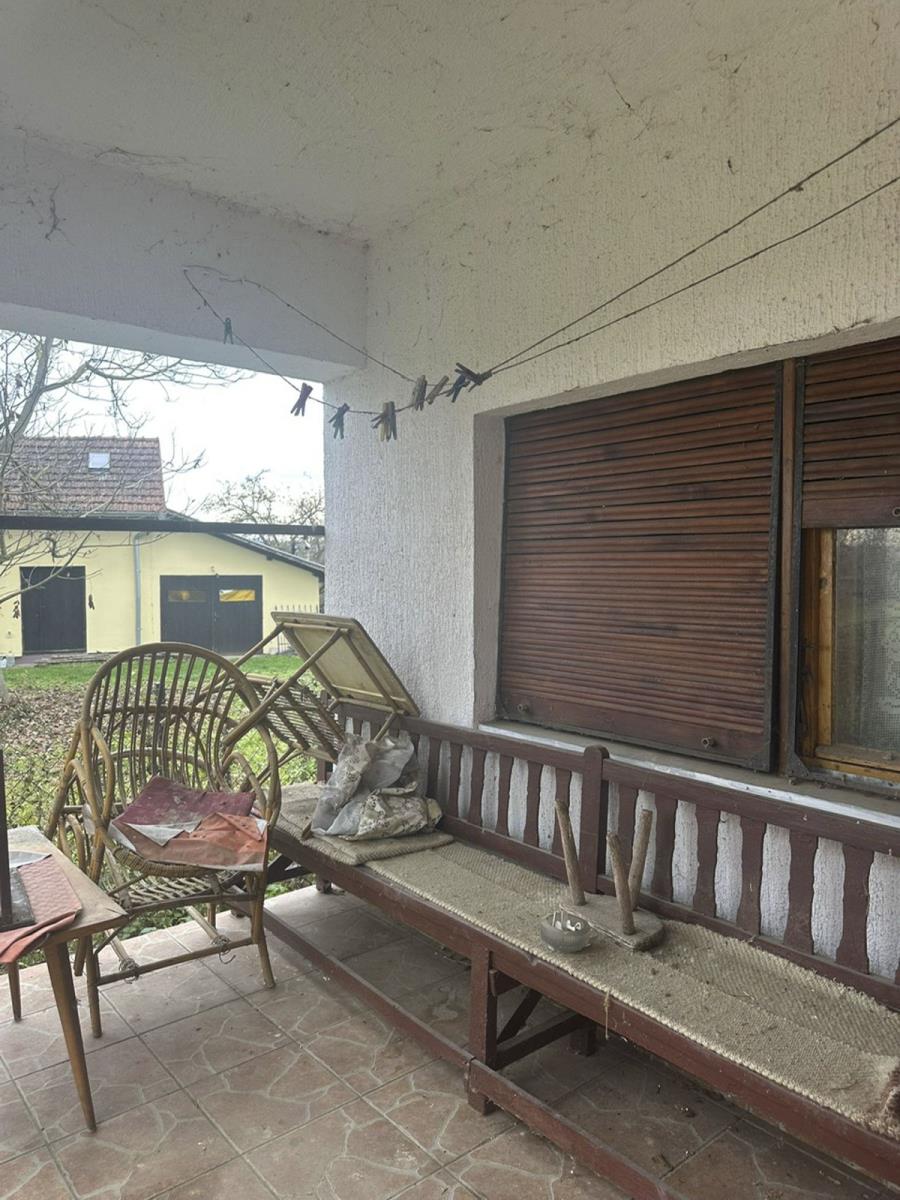 2002 sonja savic_11.jpg