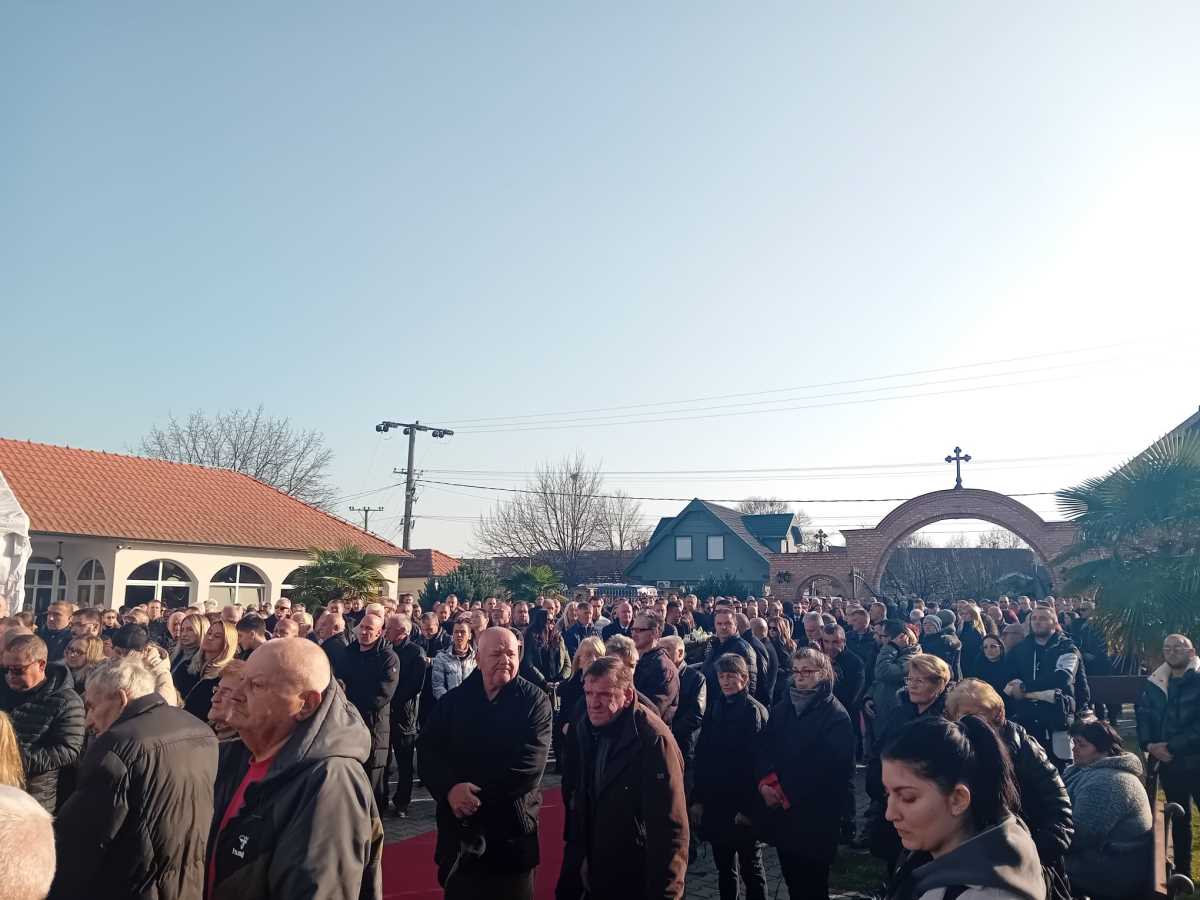 WhatsApp Image 2024-11-26 at 13.51.55_803dd30d.jpg