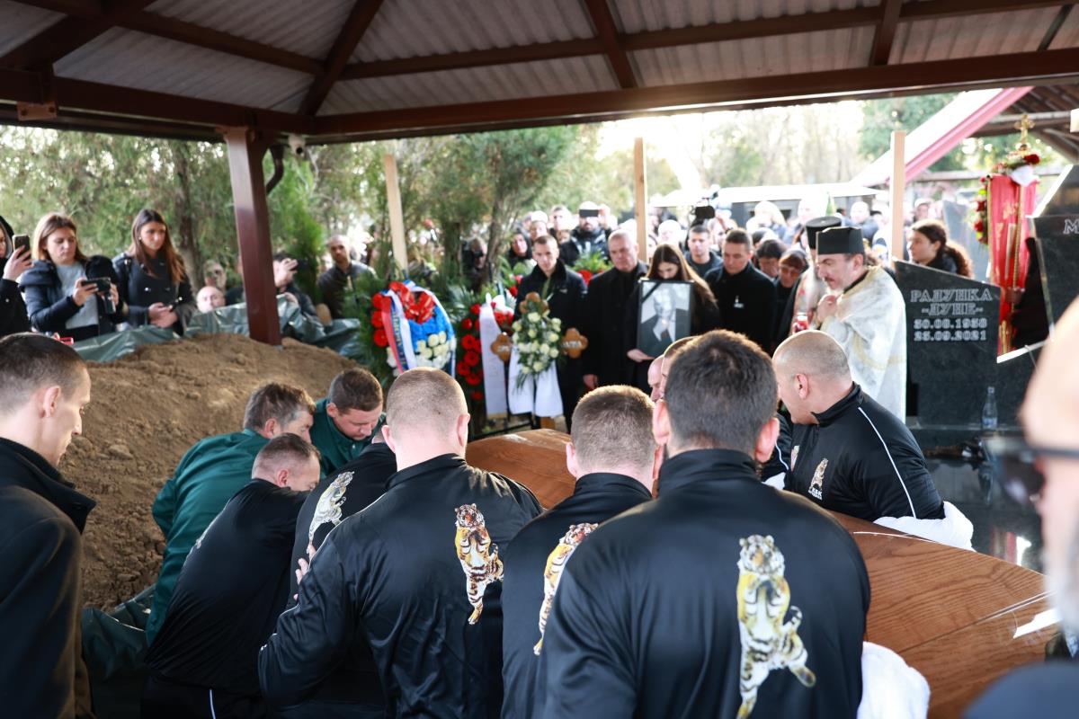 WhatsApp Image 2024-11-26 at 3.32.38 PM.jpeg