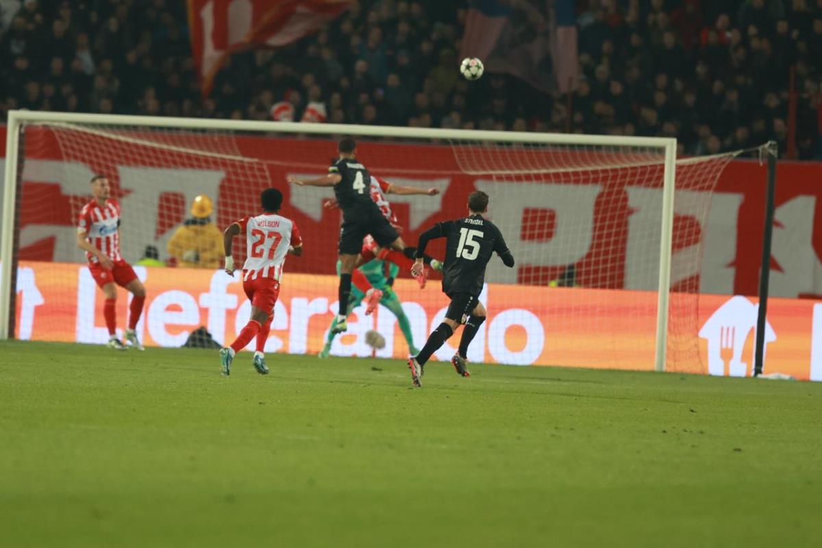 WhatsApp Image 2024-11-27 at 7.29.50 PM.jpeg