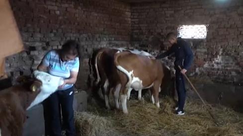 Screenshot 2024-11-30 173439.png