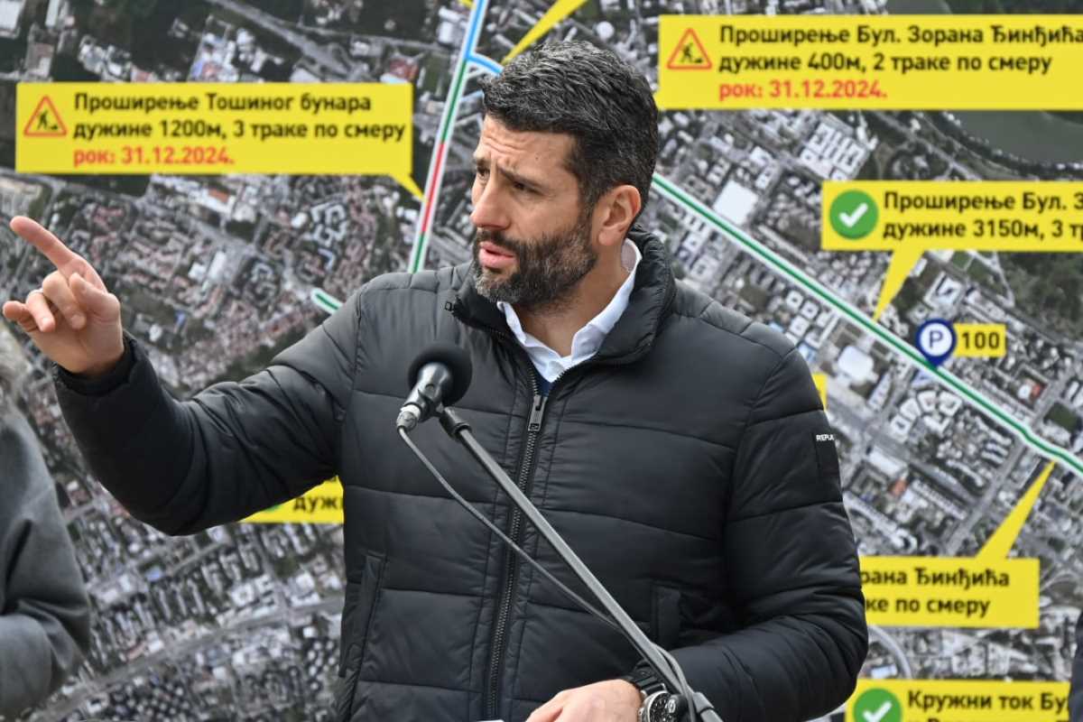 Aleksandar Šapić (13).jpg