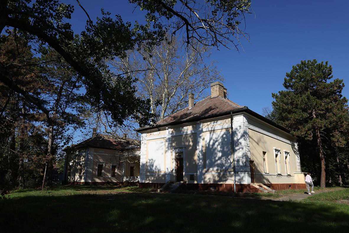 Letnjikovac Balinta Fernbaha, Krivaja (8).JPG