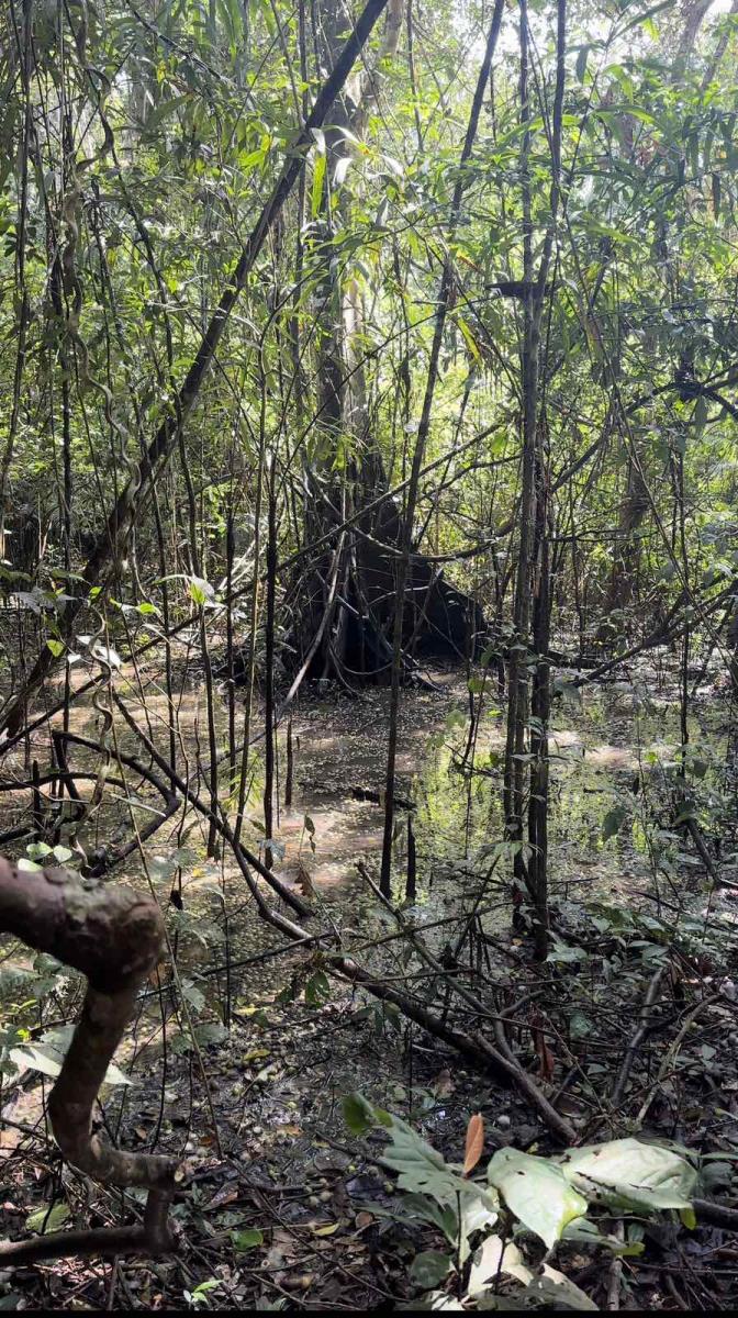 0801privatna arhiva (1).jpg