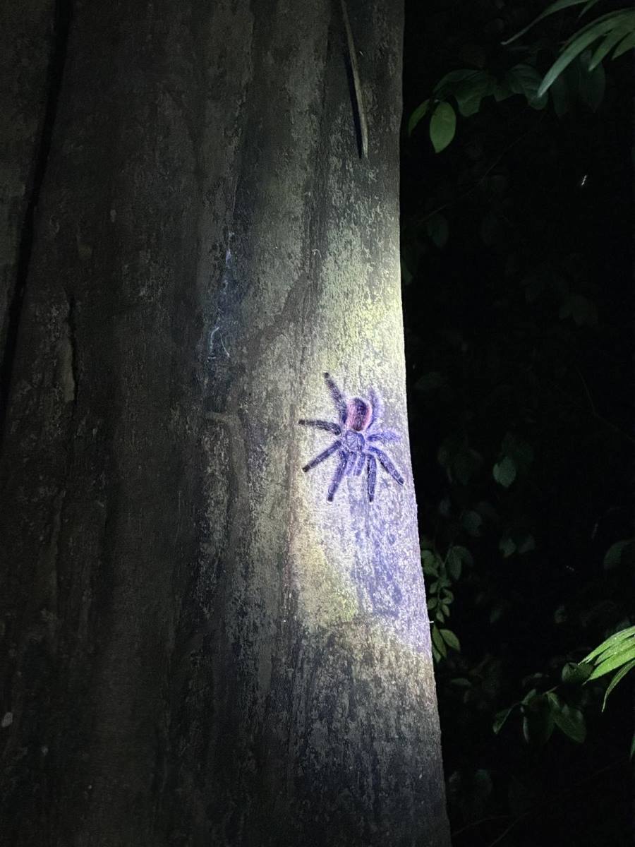 0801privatna arhiva (4).jpg