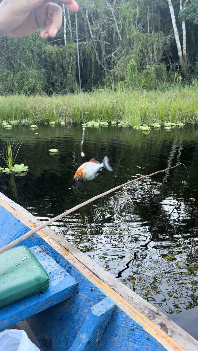 0801privatna arhiva (16).jpg