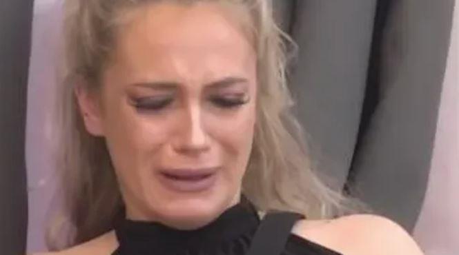 Ovo je ljubavna priča Terze i Milice