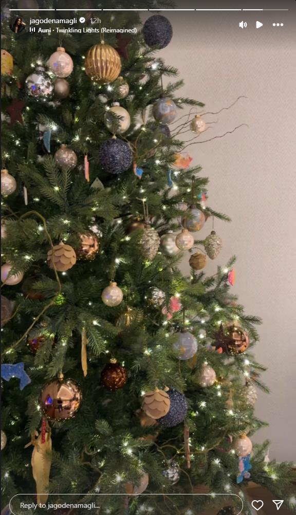 jelisvaeta orašanin jelka (2).png