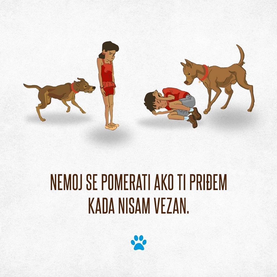 Prevencija ujeda pasa 4.jpg