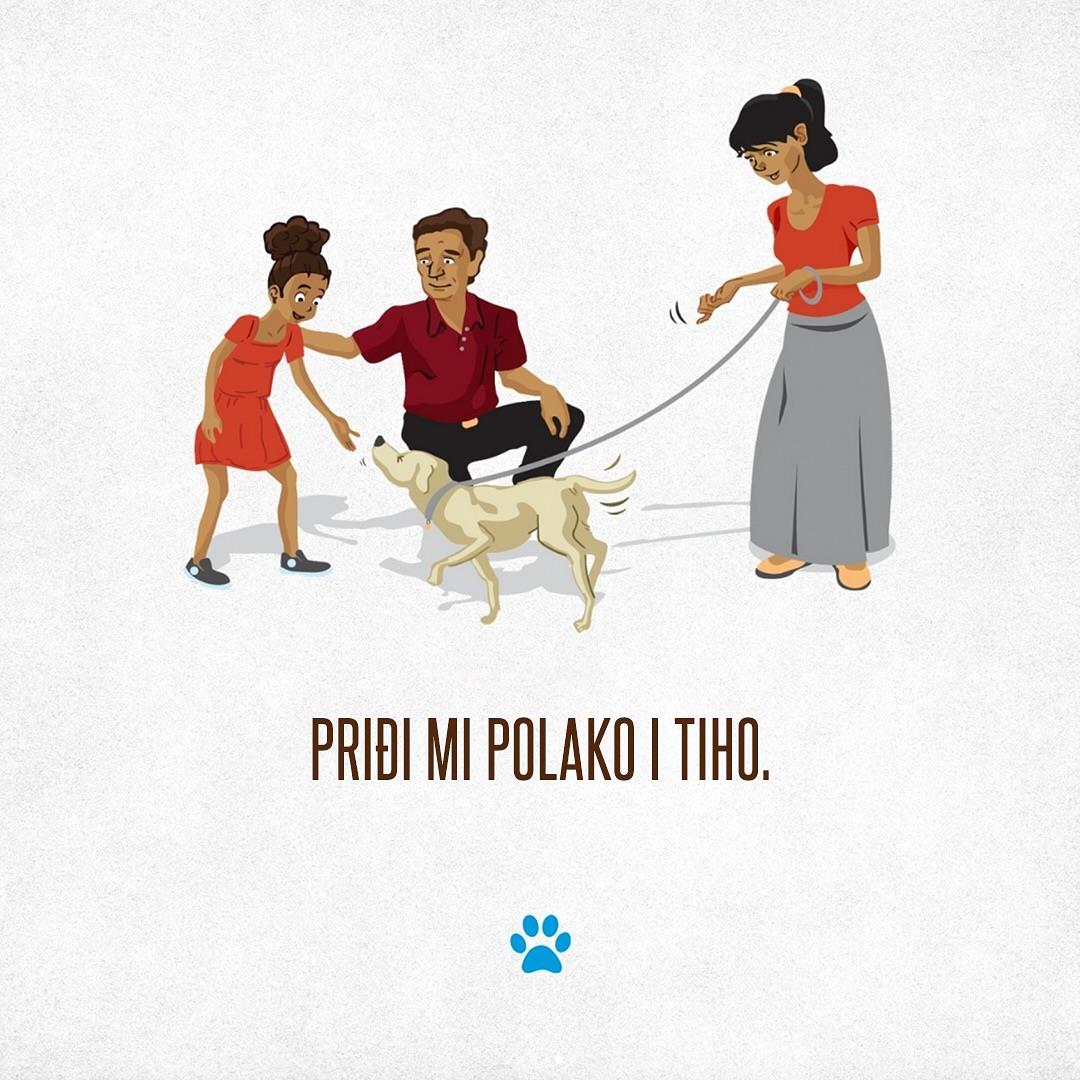 Prevencija ujeda pasa 5.jpg