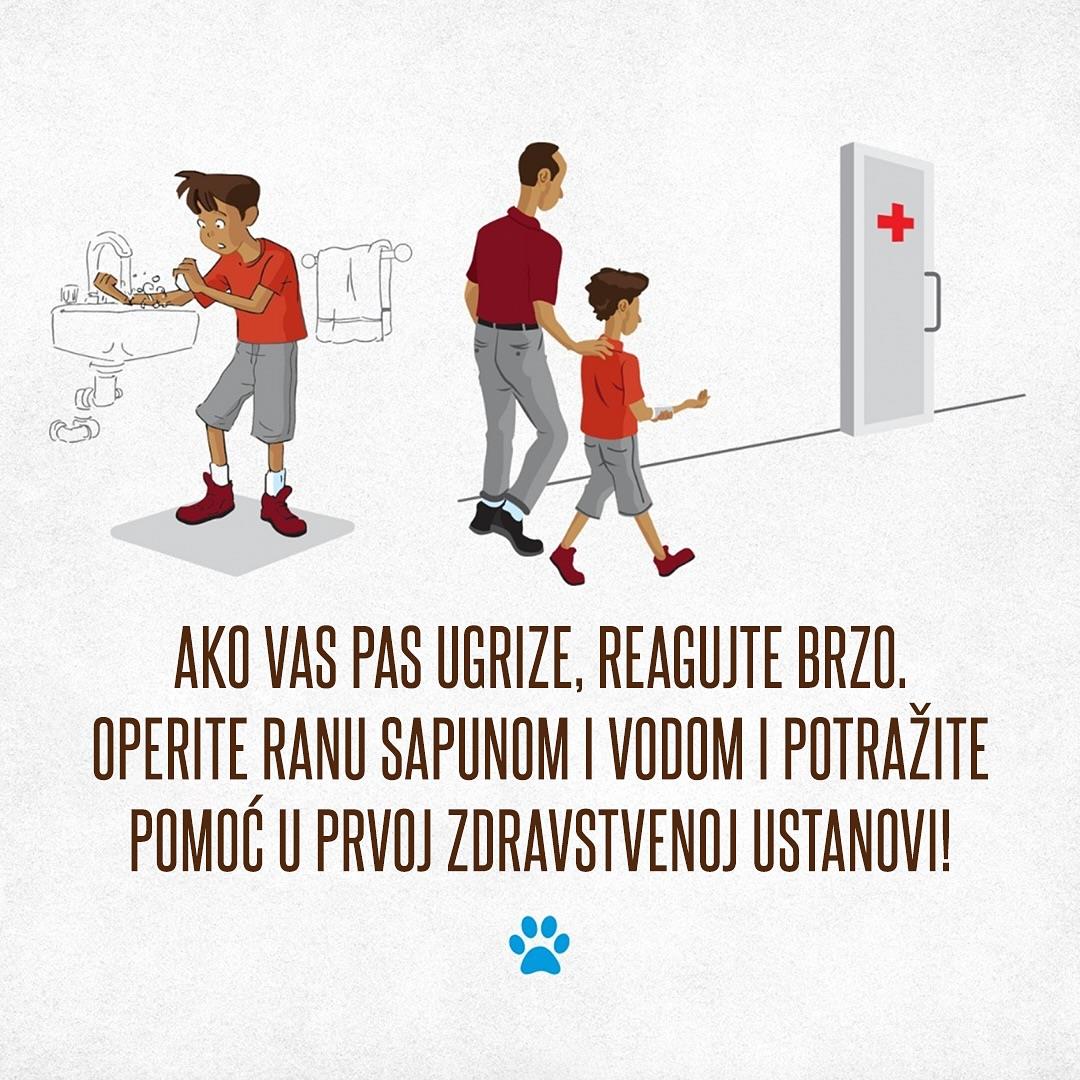 Prevencija ujeda pasa 6.jpg