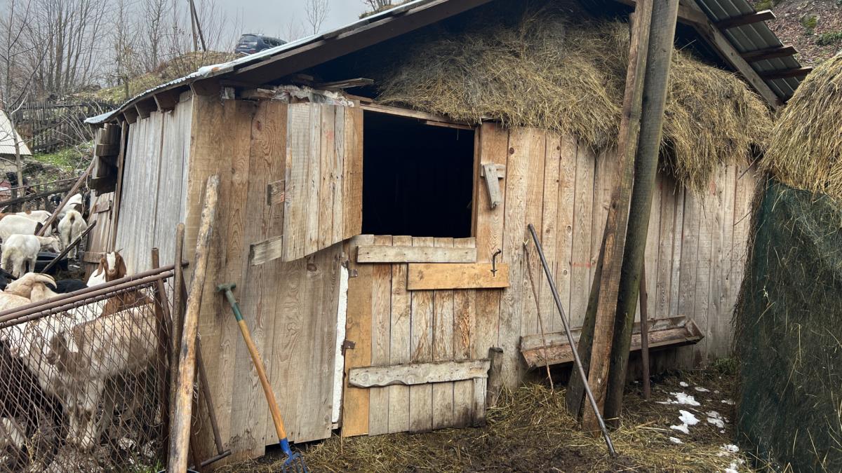 1734077879_plužing-ruskinja-fotorina2.jpg