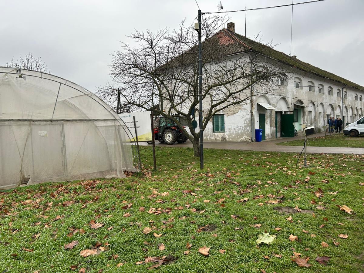 WhatsApp Image 2024-12-13 at 18.50.11_dbbd5688.jpg