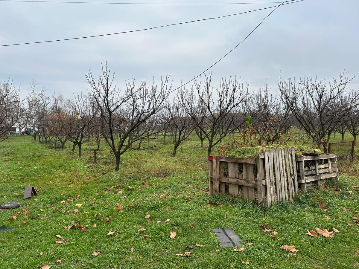 WhatsApp Image 2024-12-13 at 18.50.12_40055135.jpg