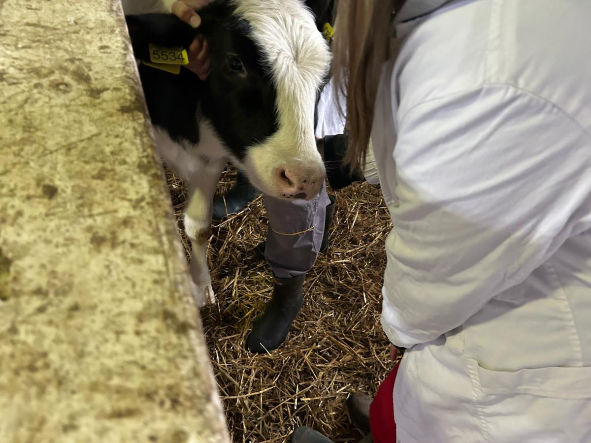 WhatsApp Image 2024-12-13 at 18.50.12_b43dfff4.jpg