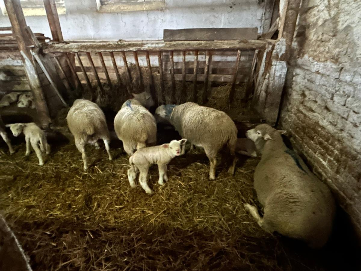 WhatsApp Image 2024-12-13 at 18.50.14_09de02ae.jpg