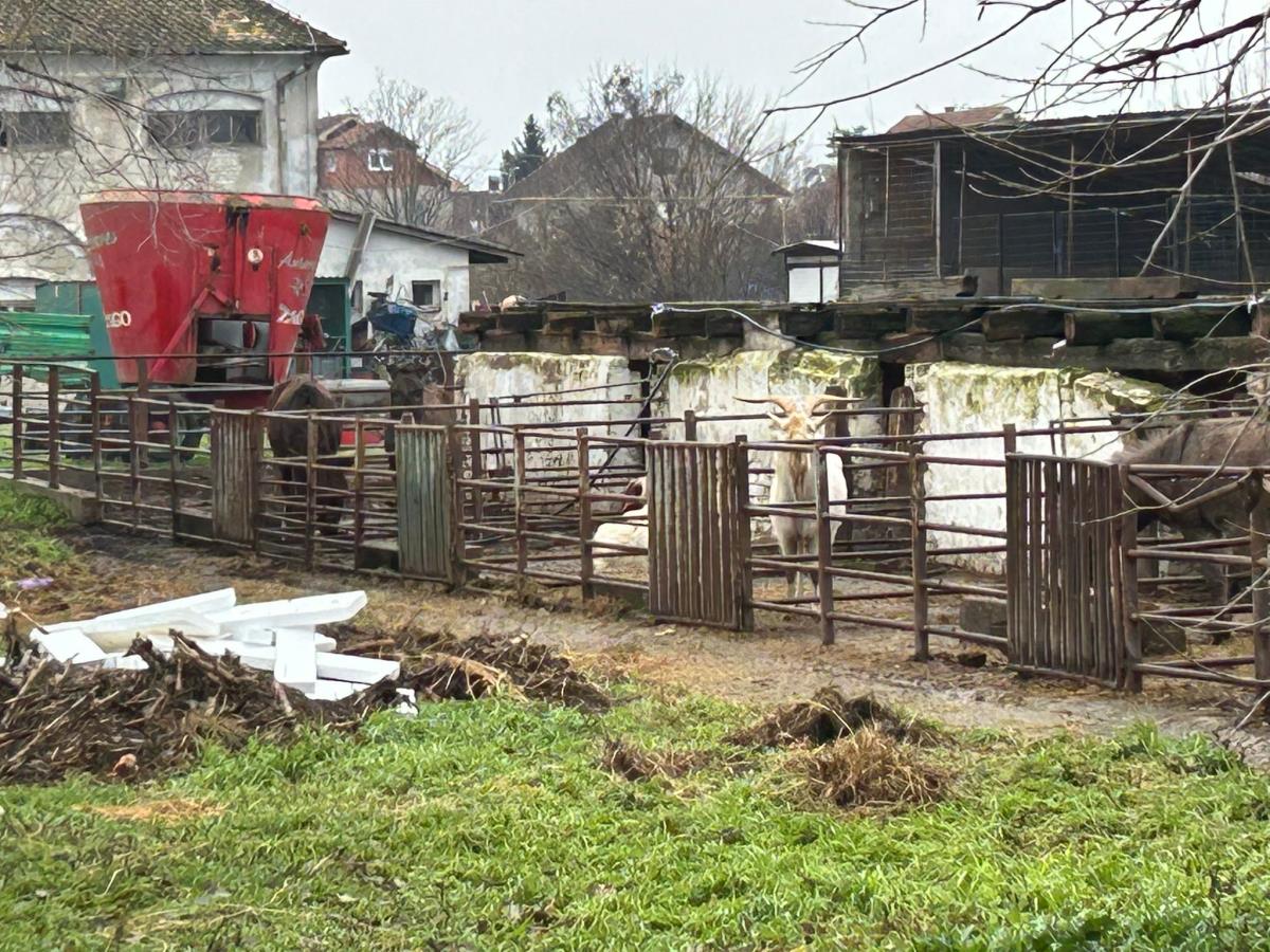 WhatsApp Image 2024-12-13 at 18.50.14_614dbb7f.jpg