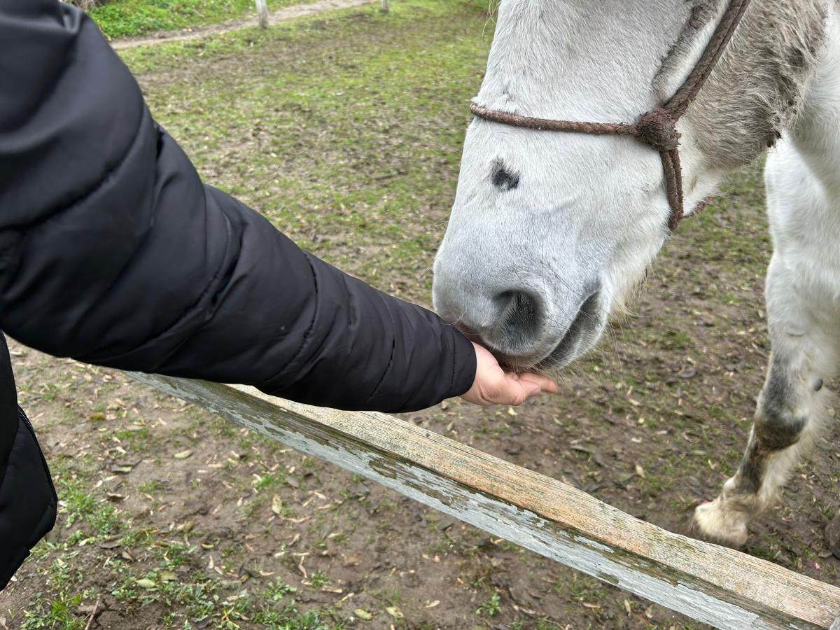 WhatsApp Image 2024-12-13 at 18.50.15_7b4107e4.jpg