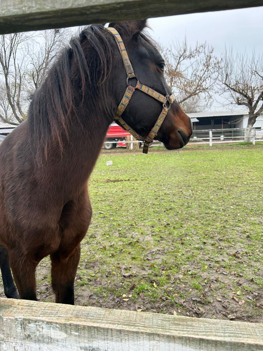 WhatsApp Image 2024-12-13 at 18.50.15_05576d83.jpg