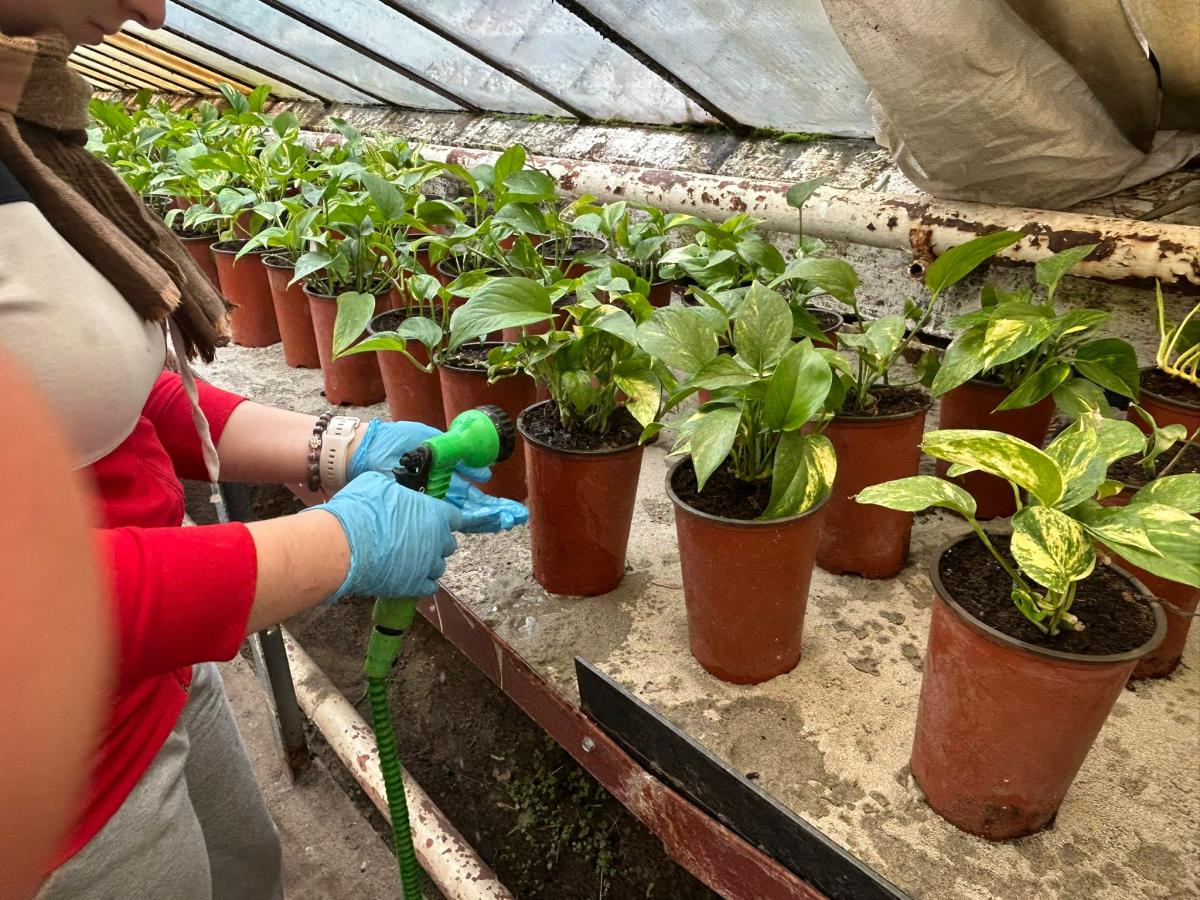 WhatsApp Image 2024-12-13 at 18.50.16_5ef143fe.jpg